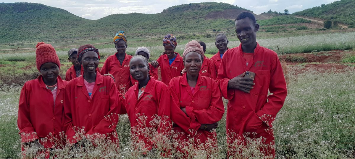 Flower Harvest Team.jpg