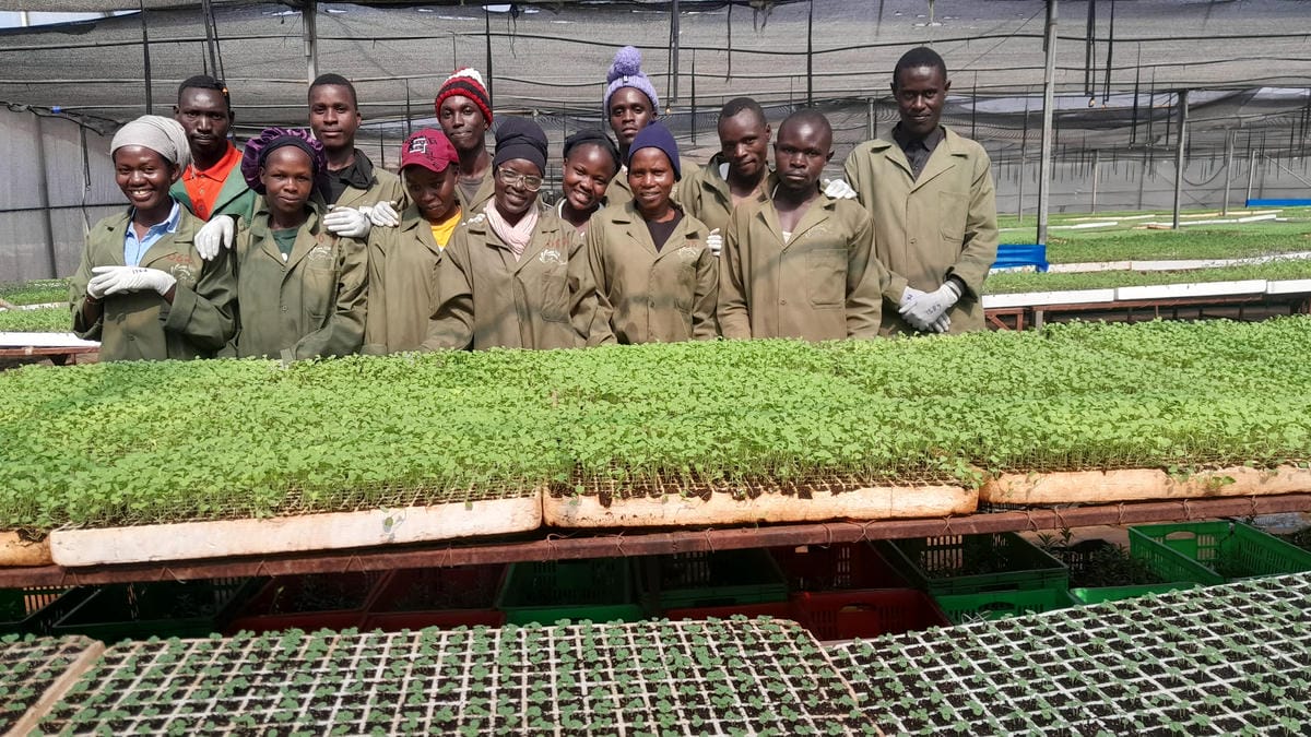 Propagation Team.jpg